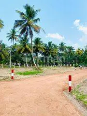 හලාවත පම්බල අවසන් බිම් කොටස් 02 විකිණීමට | Lanka Ads New