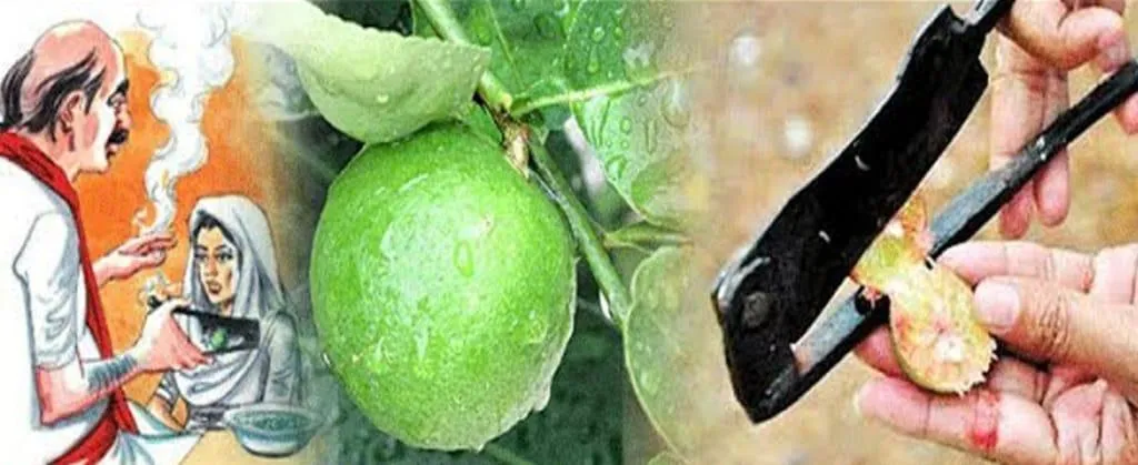 පුද්ගලයින් සහ පවුල් සඳහා ආගමික මාර්ගෝපදේශනය සහ ආත්මික සහාය. | Lanka Ads New