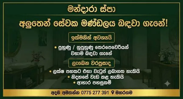 Job vacancy maharagama | Lanka Ads New